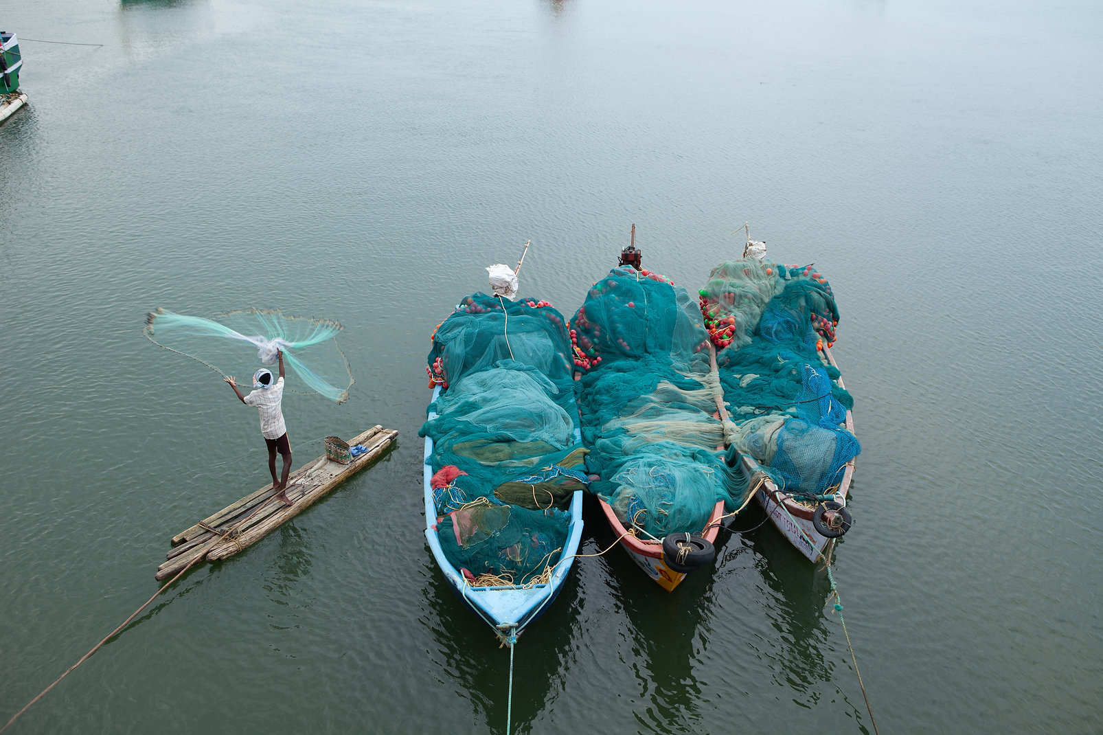 d8f53c_917dc417c04d4323940db9ad69e16442~mv2 d8f53c_917dc417c04d4323940db9ad69e16442~mv2